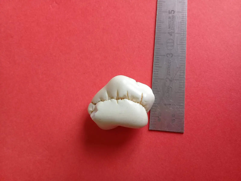 Chargez l&#39;image dans la visionneuse de la galerie, Magnésite pierre roulée Grade A ++++ Magnésite pierre roulée
