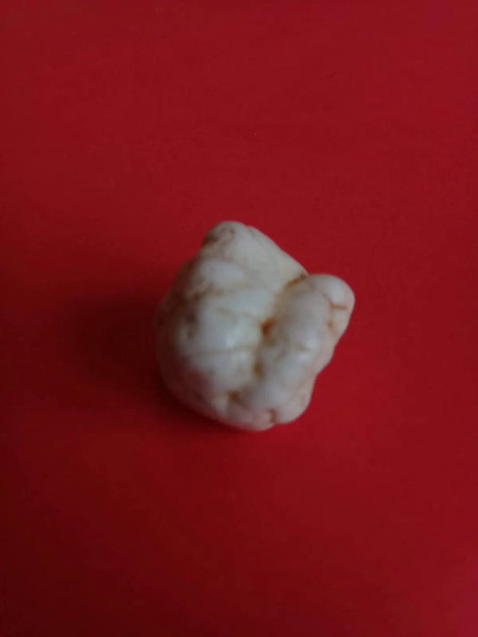 Magnésite pierre roulée Grade A ++++ Magnésite pierre roulée