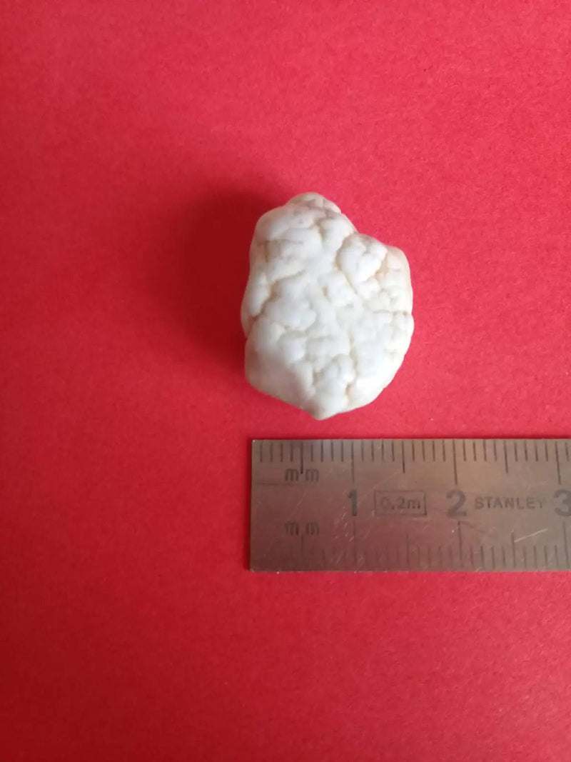 Chargez l&#39;image dans la visionneuse de la galerie, Magnésite pierre roulée Grade A ++++ Magnésite pierre roulée
