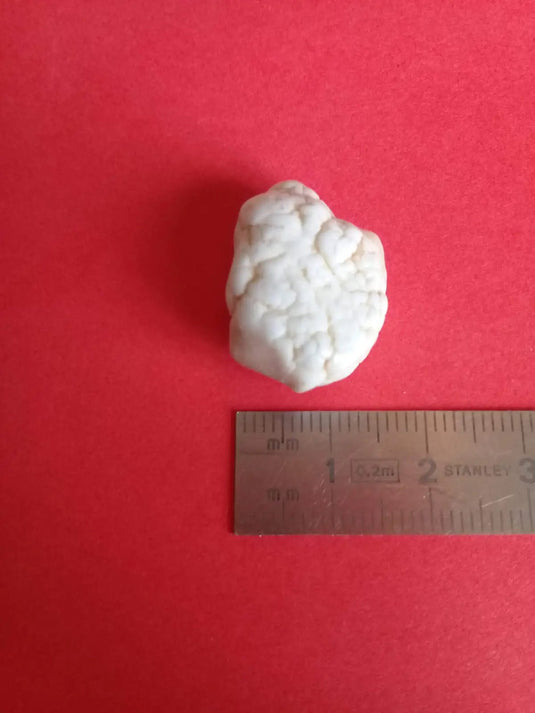 Magnésite pierre roulée Grade A ++++ Magnésite pierre roulée