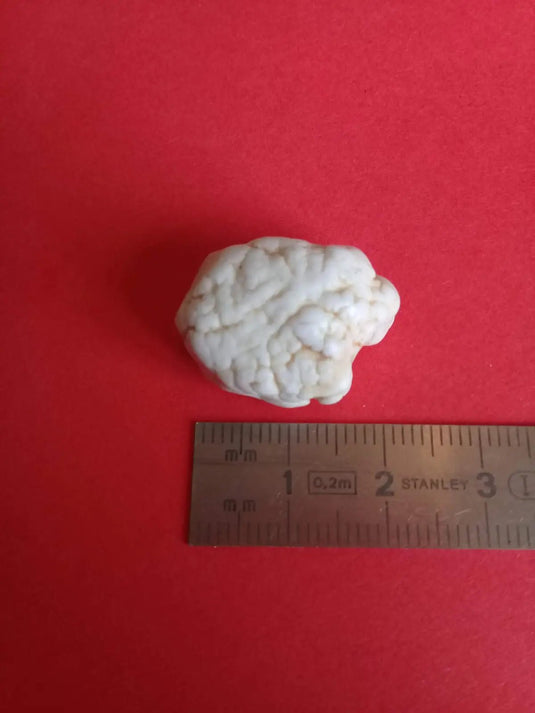 Magnésite pierre roulée Grade A ++++ Magnésite pierre roulée