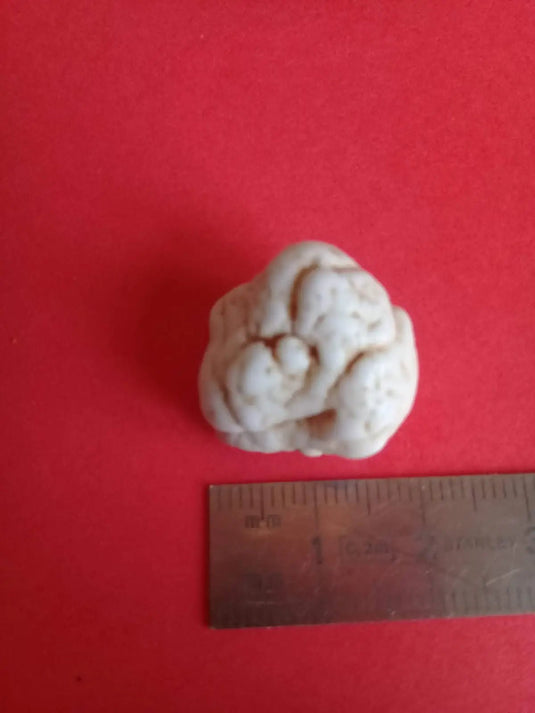 Magnésite pierre roulée Grade A ++++ Magnésite pierre roulée