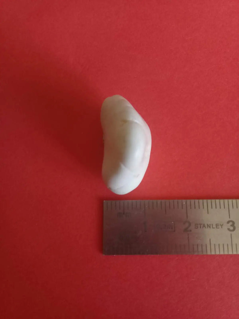 Chargez l&#39;image dans la visionneuse de la galerie, Magnésite pierre roulée Grade A ++++ Magnésite pierre roulée
