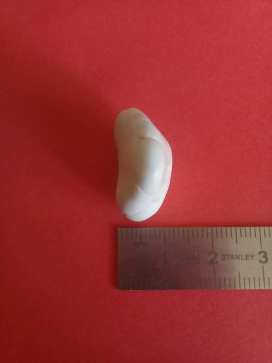 Magnésite pierre roulée Grade A ++++ Magnésite pierre roulée