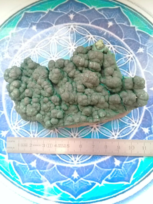 Malachite brute mamelonnée Grade A ++++ pierre de collection Malachite brute mamelonnée