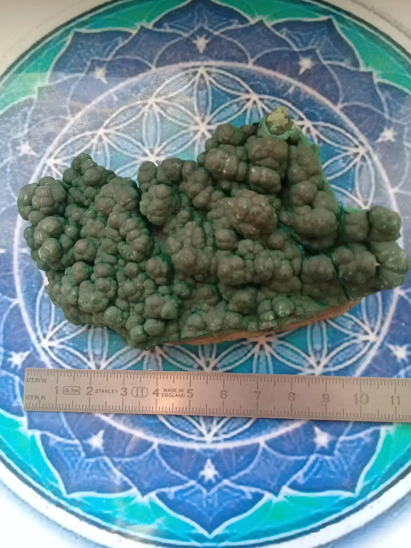 Load image into Gallery viewer, Malachite brute mamelonnée Grade A ++++ pierre de collection Malachite brute mamelonnée
