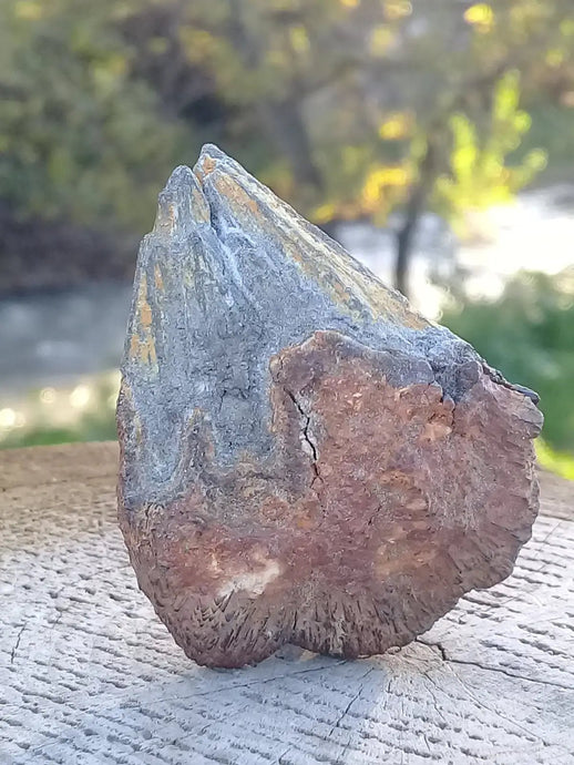 Marcassite nodule brut du Chili Grade A+++ Marcassite nodule brut du Chili