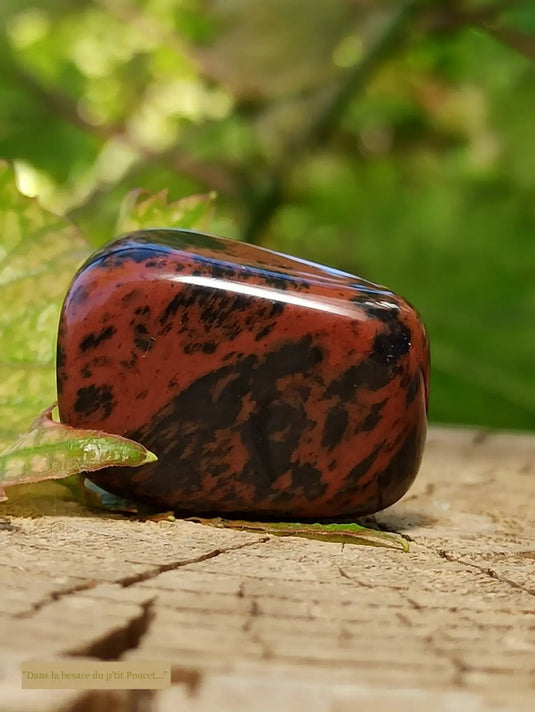 Obsidienne Acajou Magahony du Mexique pierre roulée Grade A++++ Obsidienne Acajou ou Magahony du Mexique