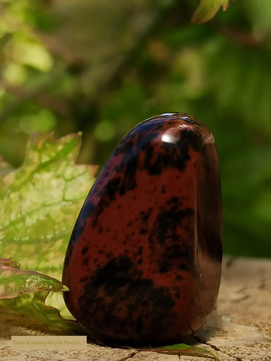 Obsidienne Acajou Magahony du Mexique pierre roulée Grade A++++ Obsidienne Acajou ou Magahony du Mexique