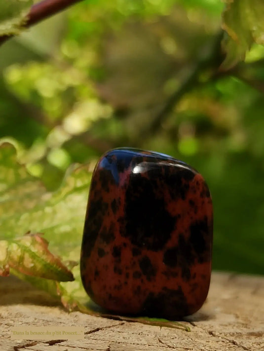 Obsidienne acajou Magahony du Mexique pierre roulée Grade A++++ Obsidienne Acajou ou Magahony du Mexique