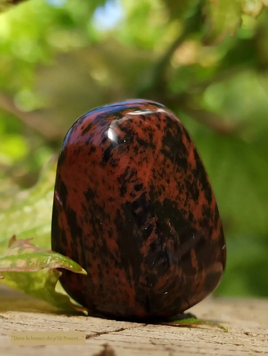 Obsidienne Acajou Magahony du Mexique pierre roulée Grade A++++ Obsidienne Acajou ou Magahony du Mexique