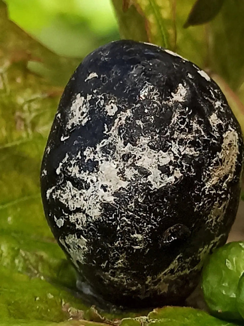 Load image into Gallery viewer, Obsidienne larme d’apache du Mexique pierre roulée Grade A++++ Obsidienne larme d’apache pierre roulée
