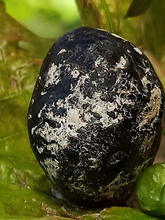 Obsidienne larme d’apache du Mexique pierre roulée Grade A++++ Obsidienne larme d’apache pierre roulée