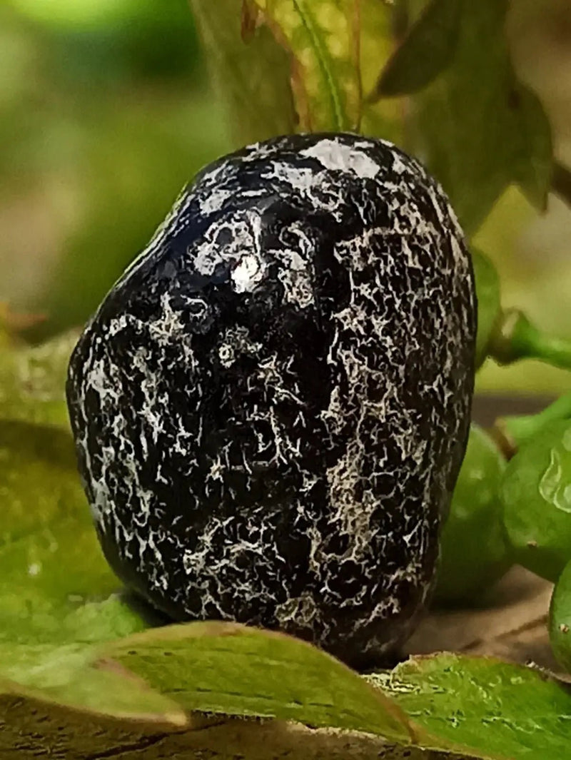 Load image into Gallery viewer, Obsidienne larme d’apache du Mexique pierre roulée Grade A++++ Obsidienne larme d’apache pierre roulée
