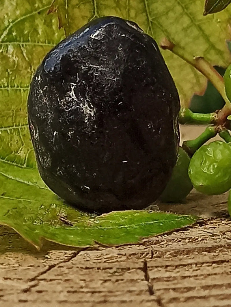 Load image into Gallery viewer, Obsidienne larme d’apache du Mexique pierre roulée Grade A++++ Obsidienne larme d’apache pierre roulée
