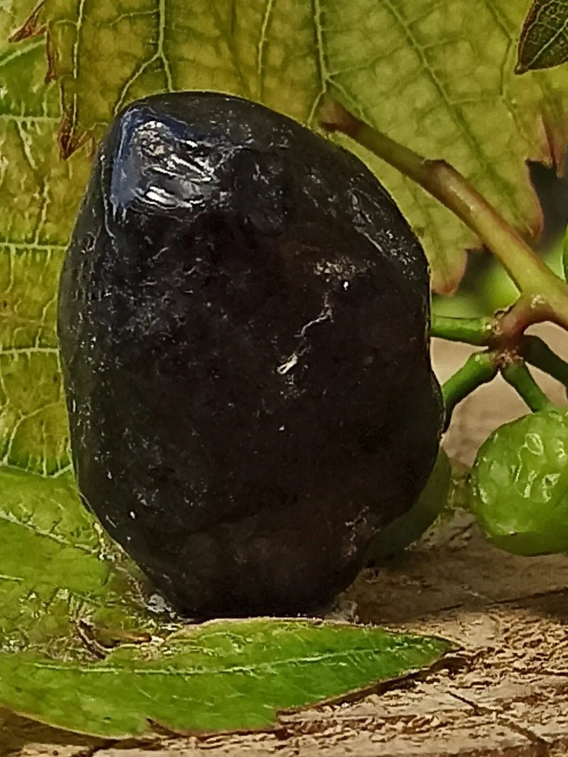 Load image into Gallery viewer, Obsidienne larme d’apache du Mexique pierre roulée Grade A++++ Obsidienne larme d’apache pierre roulée

