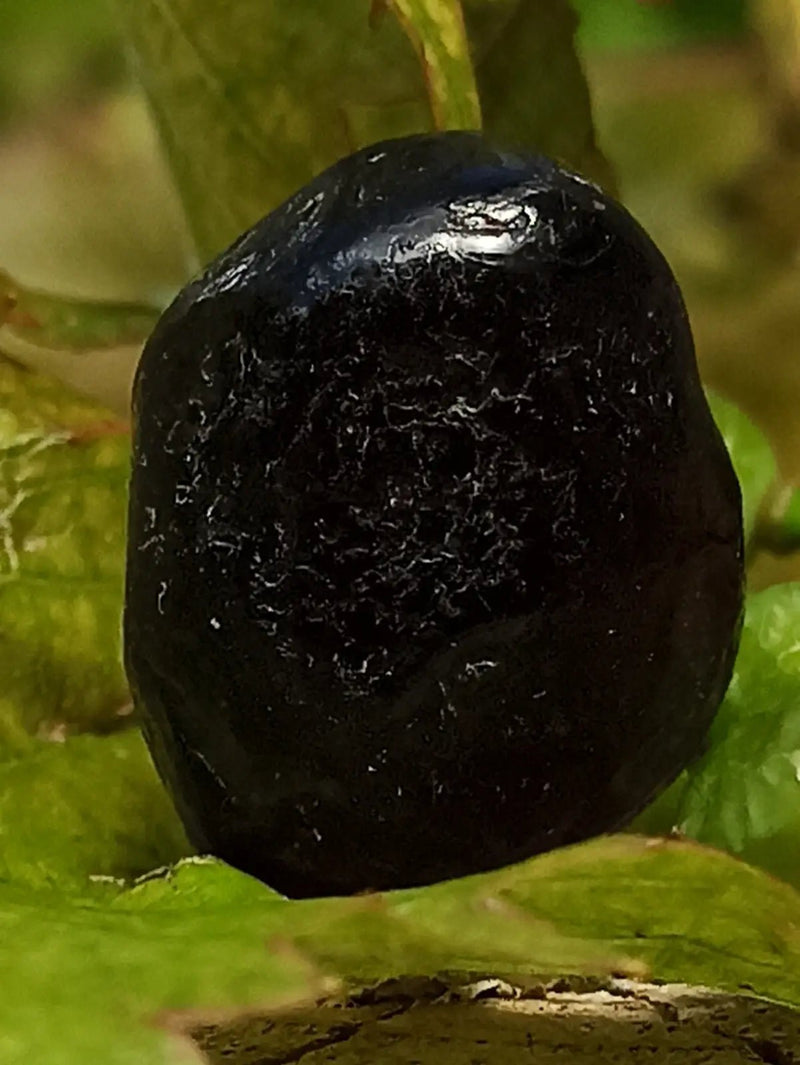 Load image into Gallery viewer, Obsidienne larme d’apache du Mexique pierre roulée Grade A++++ Obsidienne larme d’apache pierre roulée
