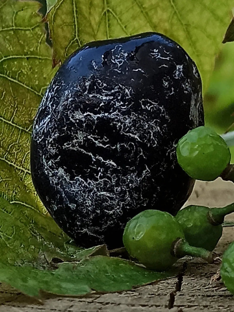 Load image into Gallery viewer, Obsidienne larme d’apache du Mexique pierre roulée Grade A++++ Obsidienne larme d’apache pierre roulée
