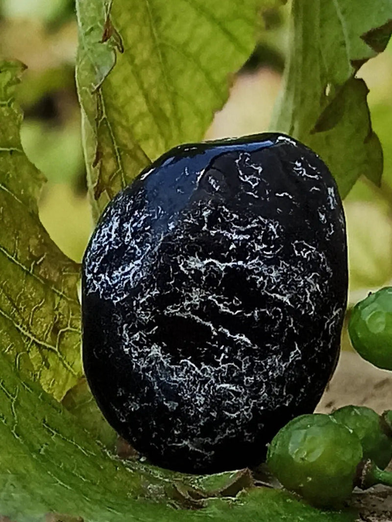 Load image into Gallery viewer, Obsidienne larme d’apache du Mexique pierre roulée Grade A++++ Obsidienne larme d’apache pierre roulée
