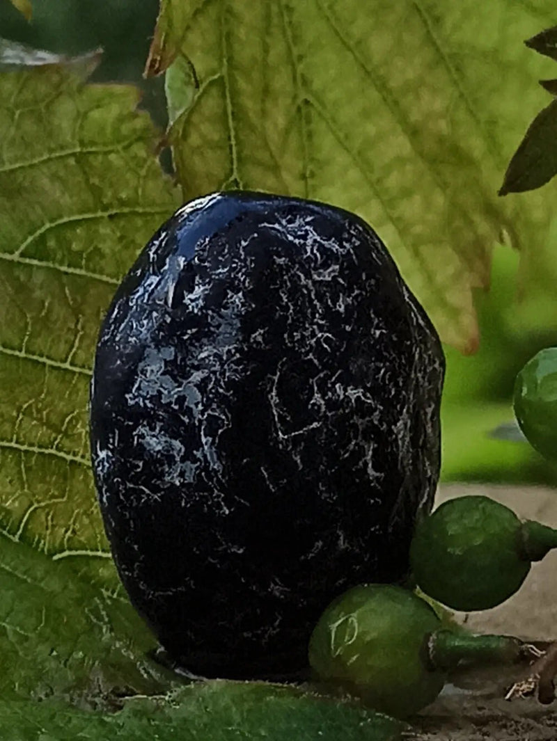 Load image into Gallery viewer, Obsidienne larme d’apache du Mexique pierre roulée Grade A++++ Obsidienne larme d’apache pierre roulée
