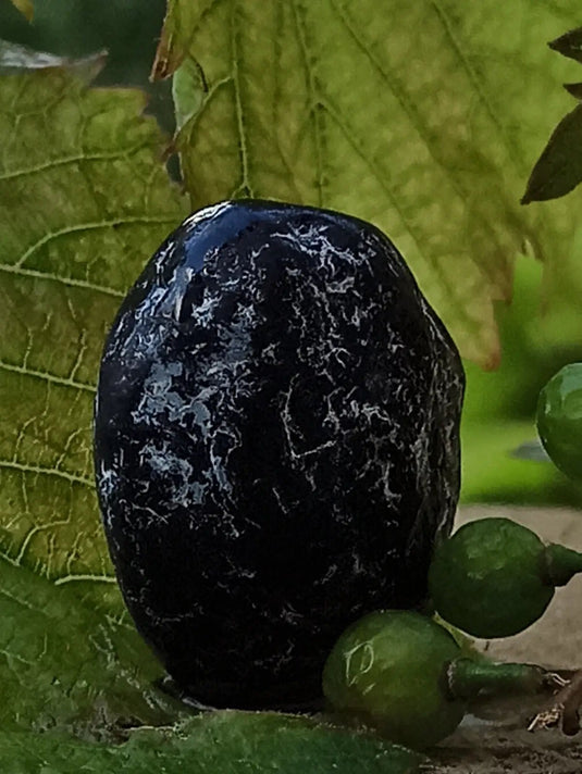 Obsidienne larme d’apache du Mexique pierre roulée Grade A++++ Obsidienne larme d’apache pierre roulée