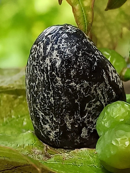 Obsidienne larme d’apache du Mexique pierre roulée Grade A++++ Obsidienne larme d’apache pierre roulée