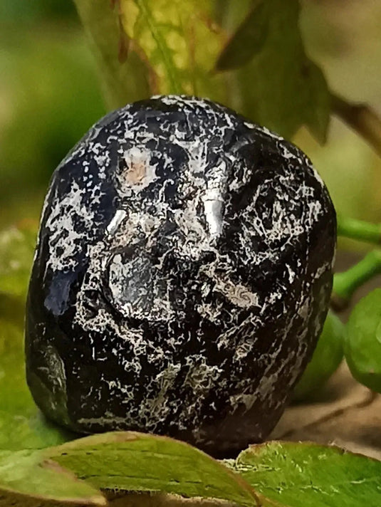 Obsidienne larme d’apache du Mexique pierre roulée Grade A++++ Obsidienne larme d’apache pierre roulée
