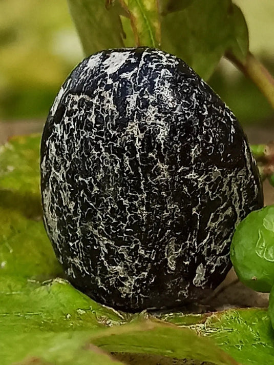 Obsidienne larme d’apache du Mexique pierre roulée Grade A++++ Obsidienne larme d’apache pierre roulée