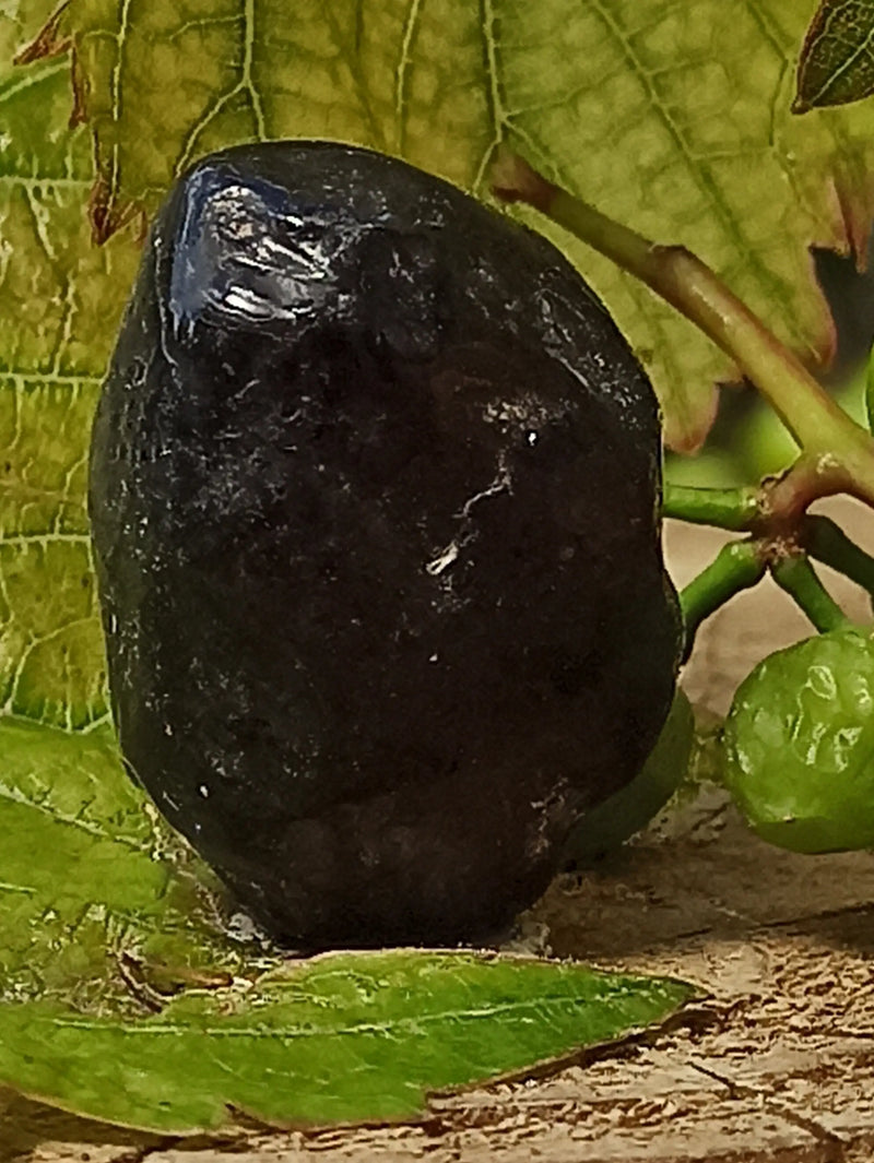 Carica immagine in Galleria Viewer, Obsidienne larme d’apache du Mexique pierre roulée Grade A++++ Obsidienne larme d&#39;apache pierre roulée Dans la besace du p&#39;tit Poucet   
