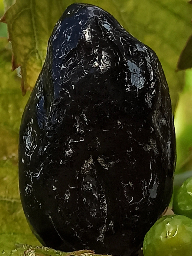 Загрузить изображение в просмотрщик галереи, Obsidienne larme d’apache du Mexique pierre roulée Grade A++++ Obsidienne larme d&#39;apache pierre roulée Dans la besace du p&#39;tit Poucet   

