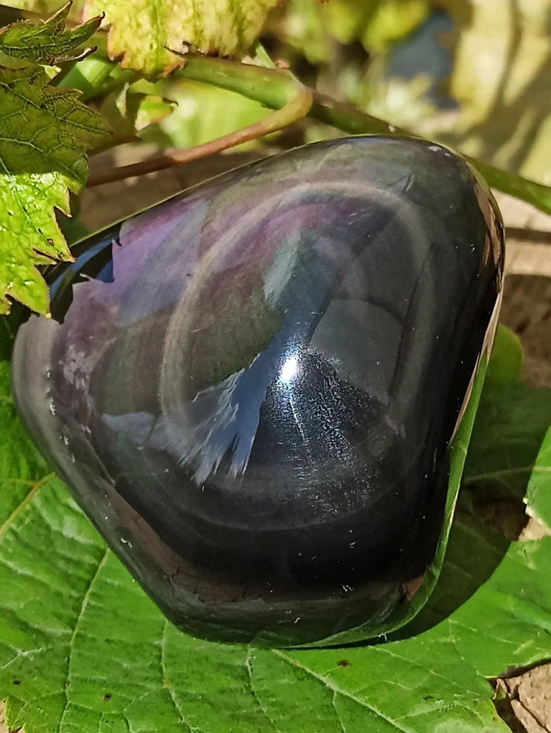 Chargez l&#39;image dans la visionneuse de la galerie, Obsidienne Œil céleste du Mexique galet Grade A++++ Obsidienne œil céleste galet
