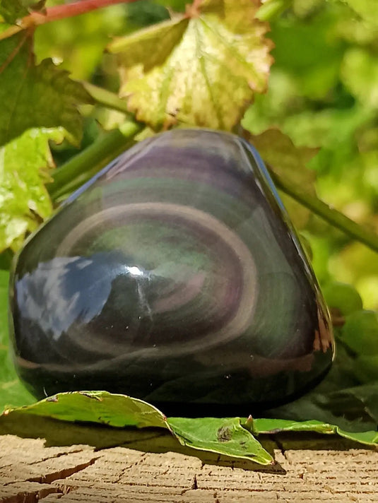 Obsidienne Œil céleste du Mexique galet Grade A++++ Obsidienne œil céleste galet
