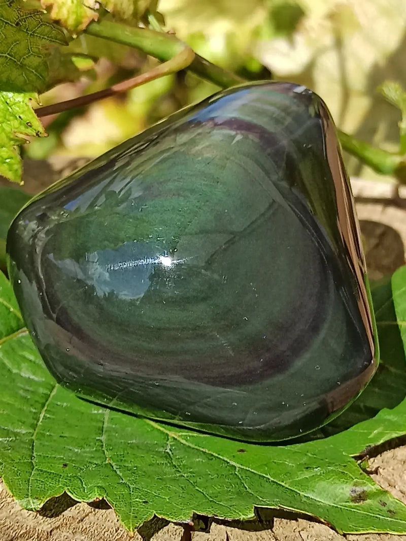 Chargez l&#39;image dans la visionneuse de la galerie, Obsidienne Œil céleste du Mexique galet Grade A++++ Obsidienne œil céleste galet
