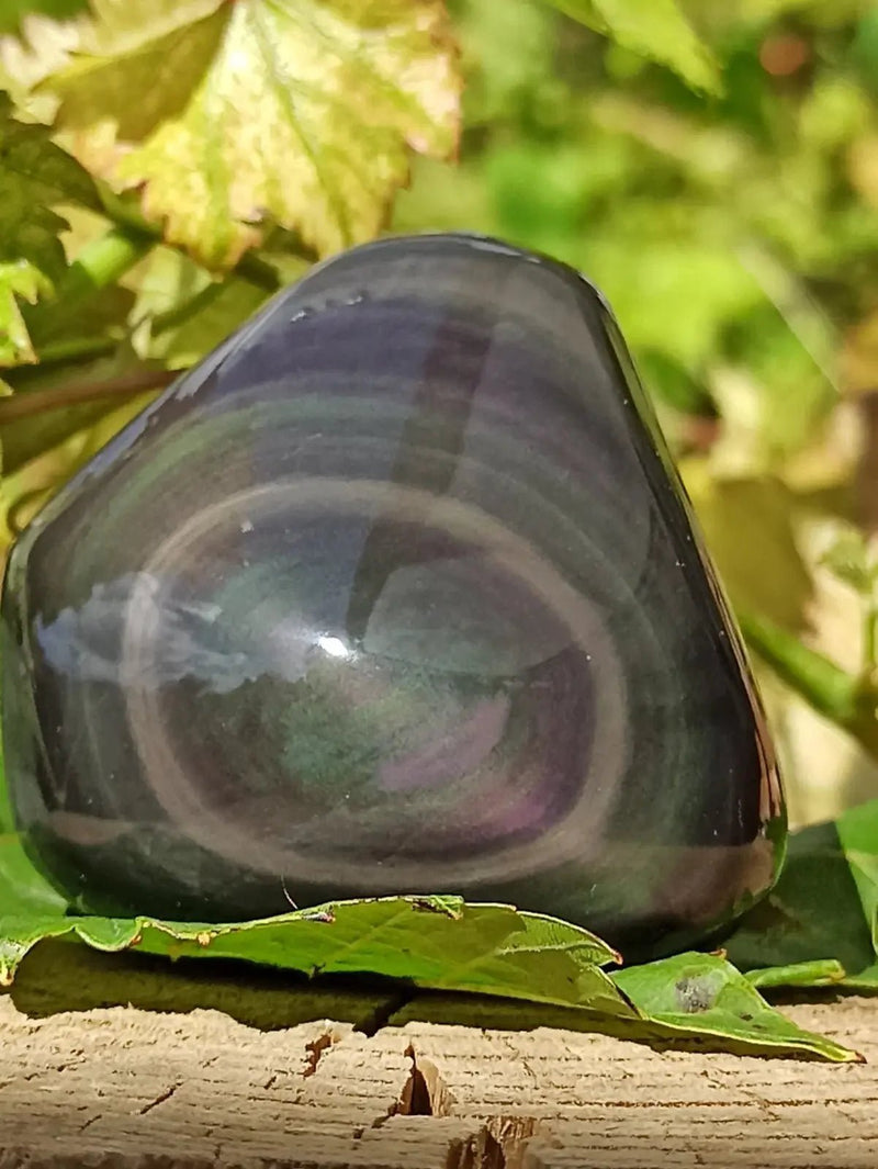 Chargez l&#39;image dans la visionneuse de la galerie, Obsidienne Œil céleste du Mexique galet Grade A++++ Obsidienne œil céleste galet
