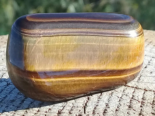 Œil de Tigre pierre roulée Grade A ++++ Œil de Tigre pierre roulée