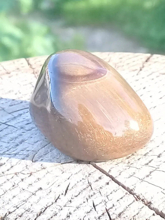 Œil de Tigre pierre roulée Grade A ++++ Œil de Tigre pierre roulée