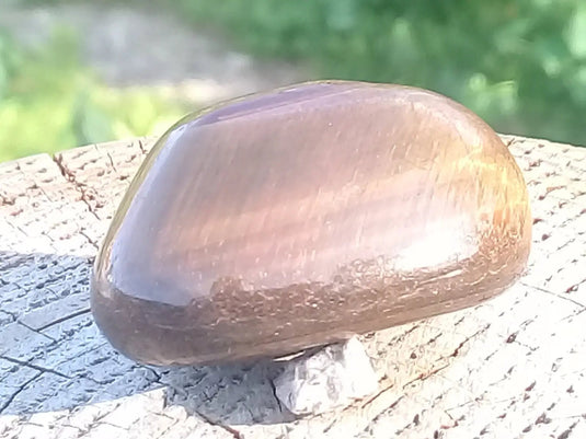 Œil de Tigre pierre roulée Grade A ++++ Œil de Tigre pierre roulée