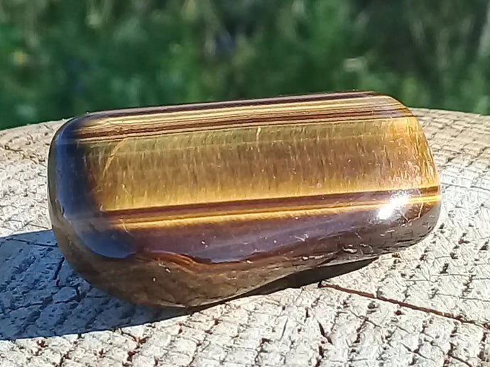 Œil de Tigre pierre roulée Grade A ++++ Œil de Tigre pierre roulée