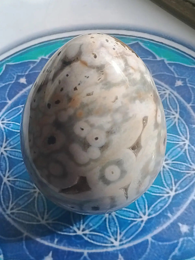 Chargez l&#39;image dans la visionneuse de la galerie, Œuf en Jaspe Orbiculaire Grade A ++++ 9cm x 6,7 cm Œuf en Jaspe Orbiculaire
