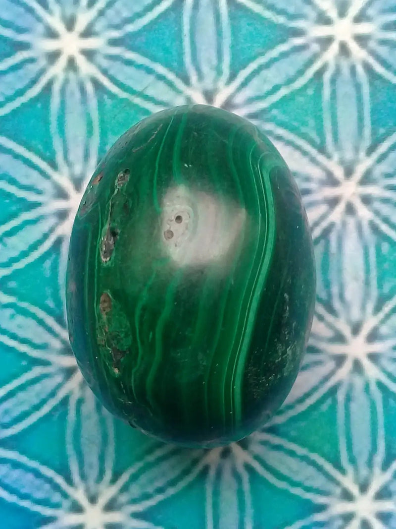 Load image into Gallery viewer, Œuf en Malachite Grade A ++++ 3,8cm x 2,8cm Œuf en Malachite

