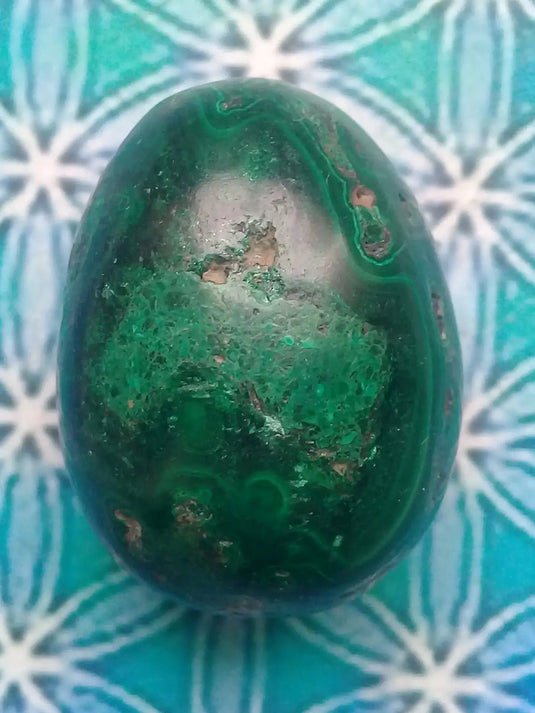 Œuf en Malachite Grade A ++++ 3,8cm x 2,8cm Œuf en Malachite