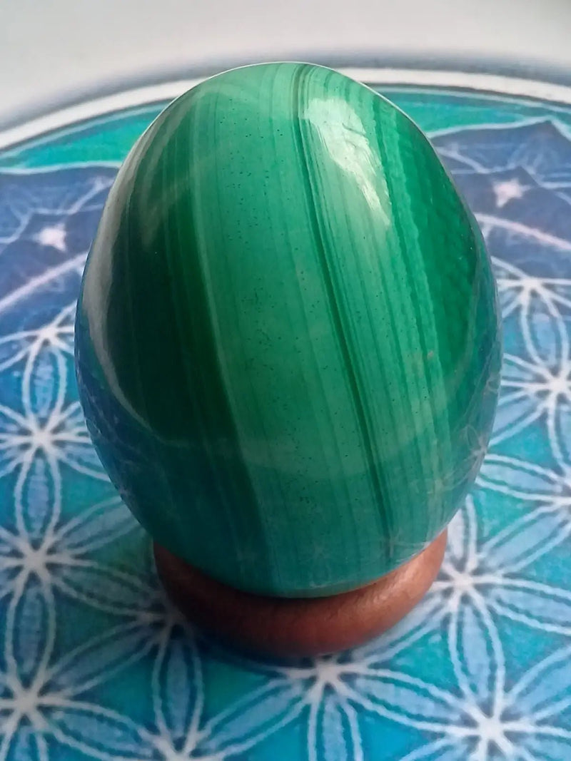 Load image into Gallery viewer, Œuf en Malachite Grade A ++++ 6,2cm x 4,5cm Œuf en Malachite
