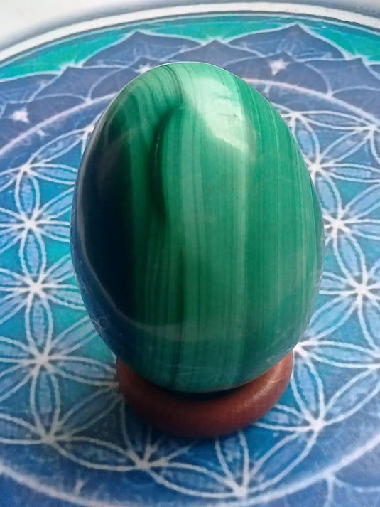 Œuf en Malachite Grade A ++++ 6,2cm x 4,5cm Œuf en Malachite