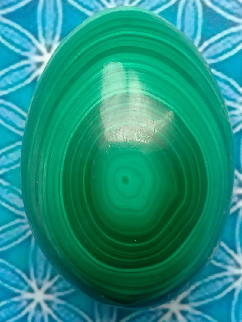 Load image into Gallery viewer, Œuf en Malachite Grade A ++++ 6,2cm x 4,5cm Œuf en Malachite
