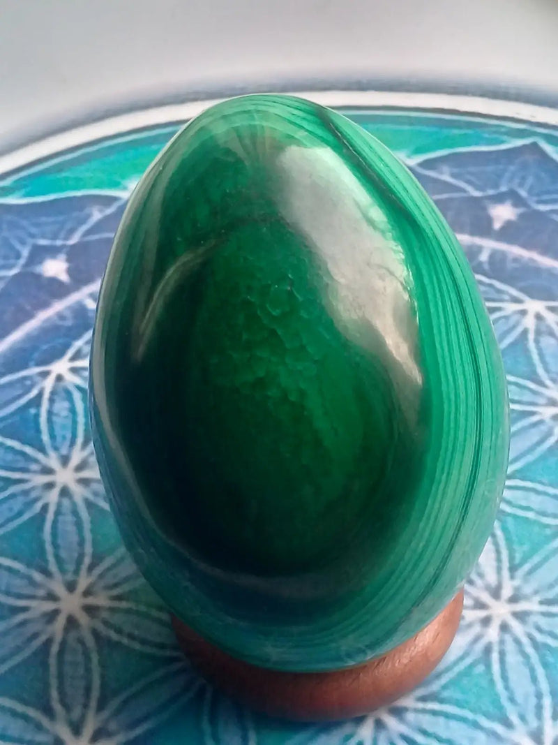 Load image into Gallery viewer, Œuf en Malachite Grade A ++++ 6,2cm x 4,5cm Œuf en Malachite
