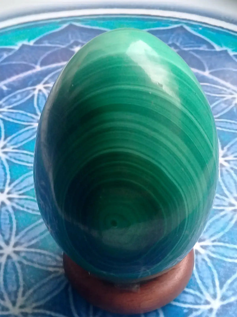 Load image into Gallery viewer, Œuf en Malachite Grade A ++++ 6,2cm x 4,5cm Œuf en Malachite
