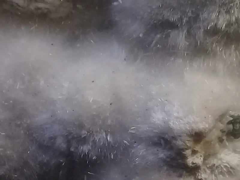 Load image into Gallery viewer, Okénite brute Collection Grade A ++++ Okénite brute de Collection
