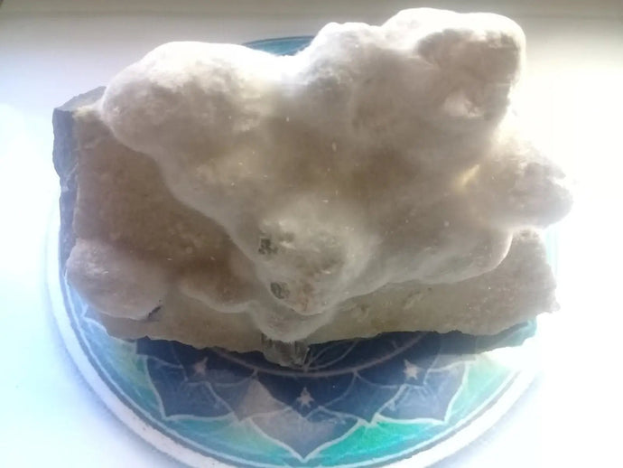 Okénite brute Collection Grade A ++++ Okénite brute de Collection