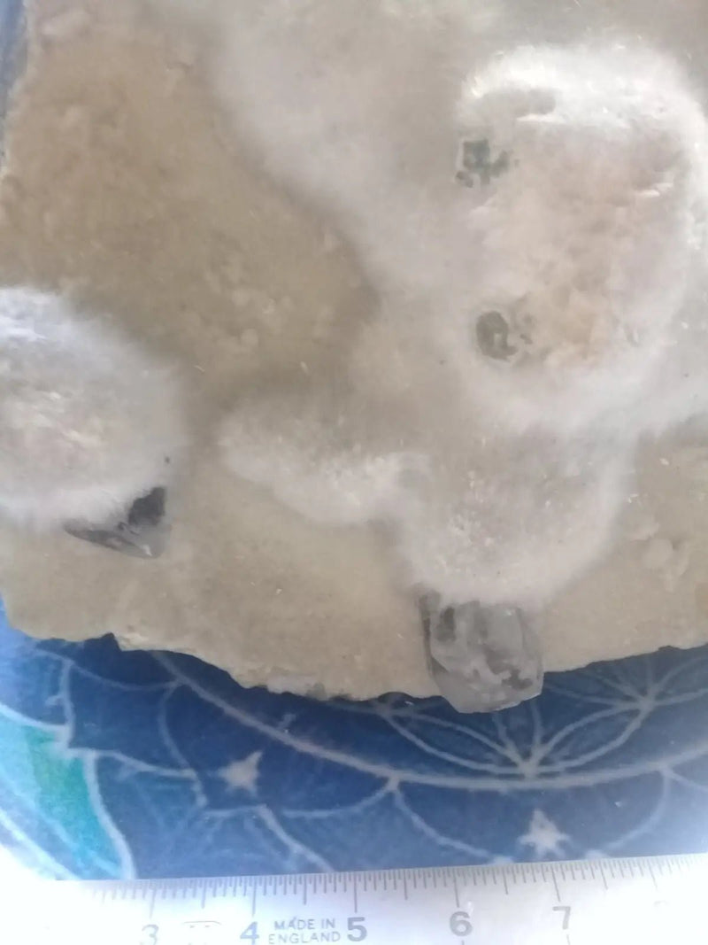 Load image into Gallery viewer, Okénite brute Collection Grade A ++++ Okénite brute de Collection
