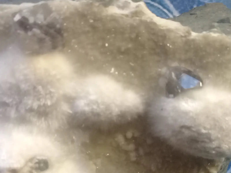 Load image into Gallery viewer, Okénite brute Collection Grade A ++++ Okénite brute de Collection
